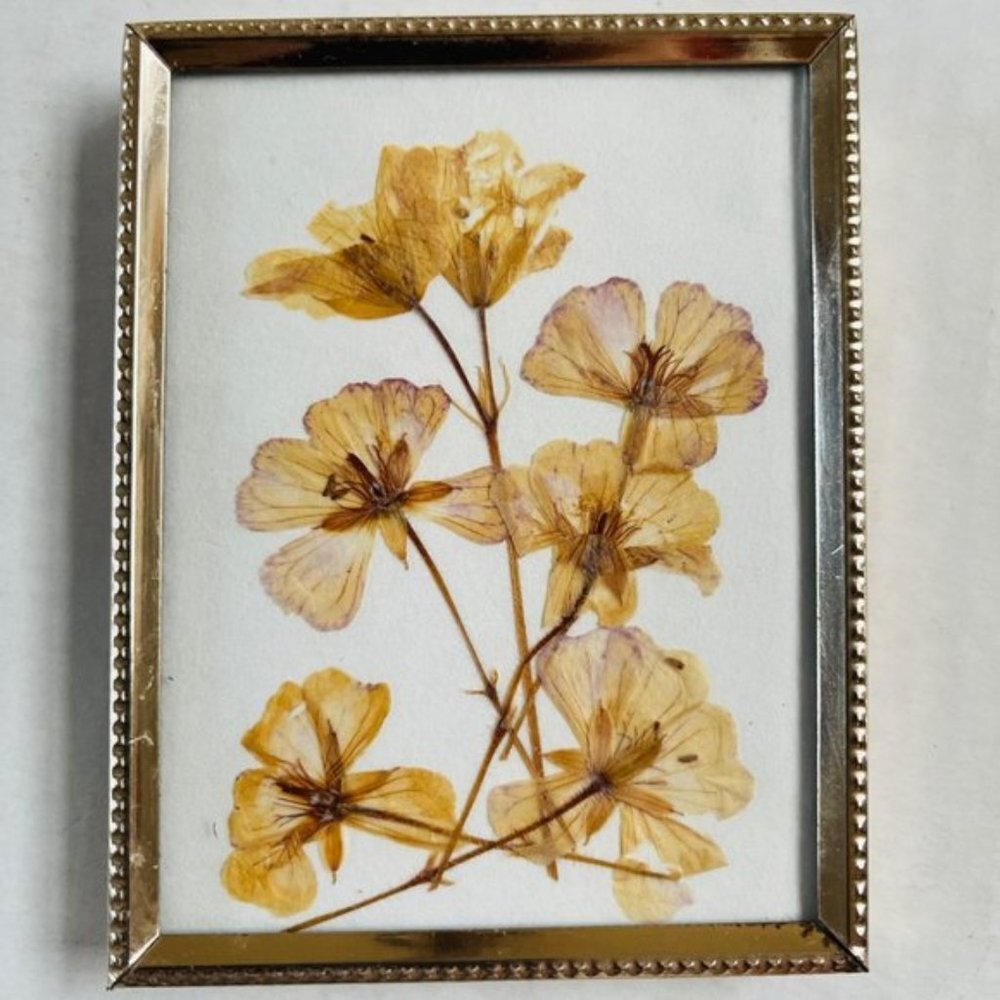 Pressed Flowers Frame Folk Art Home Decor‎ Gold Tone Metal Frame 3.5 x 4 Inches